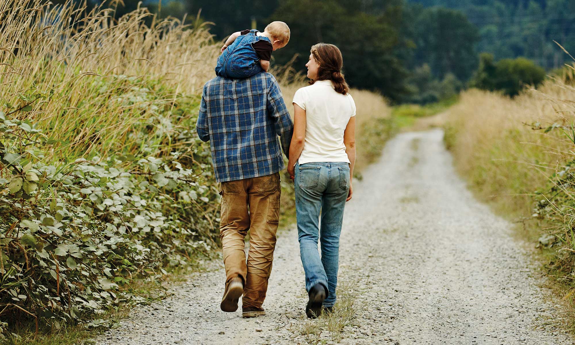 Compare Death in Service Cover for Your Employees