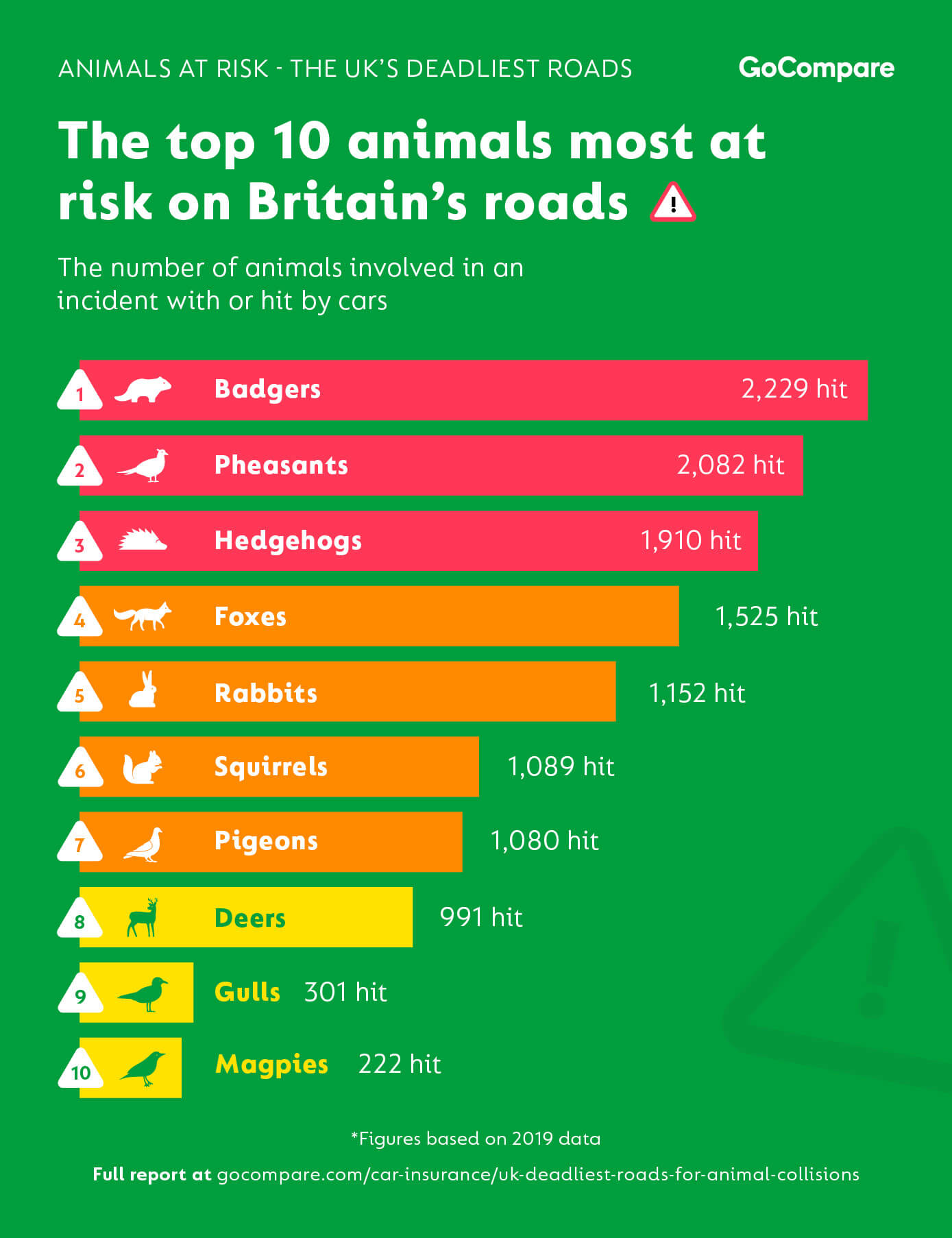 The UK's deadliest roads for wildlife | GoCompare