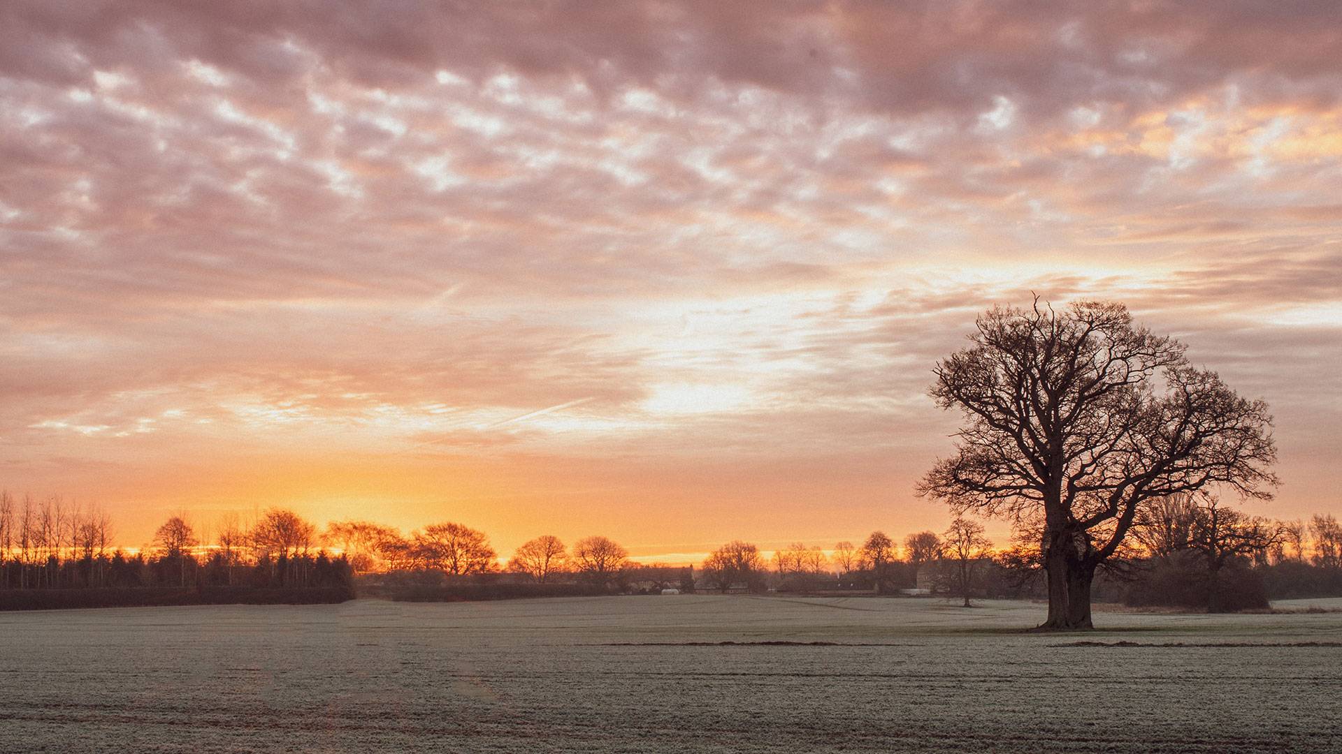 Buckinghamshire