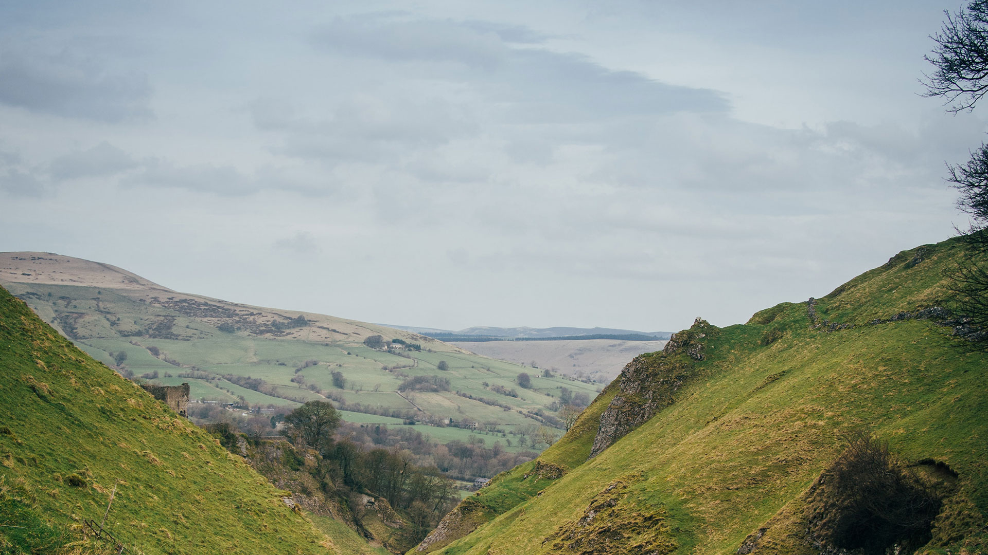 Derbyshire