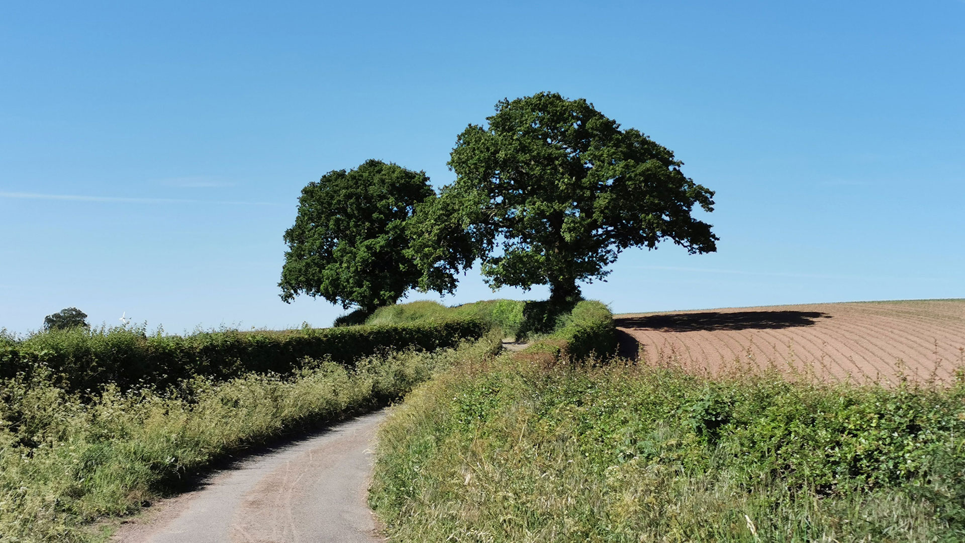 Shropshire
