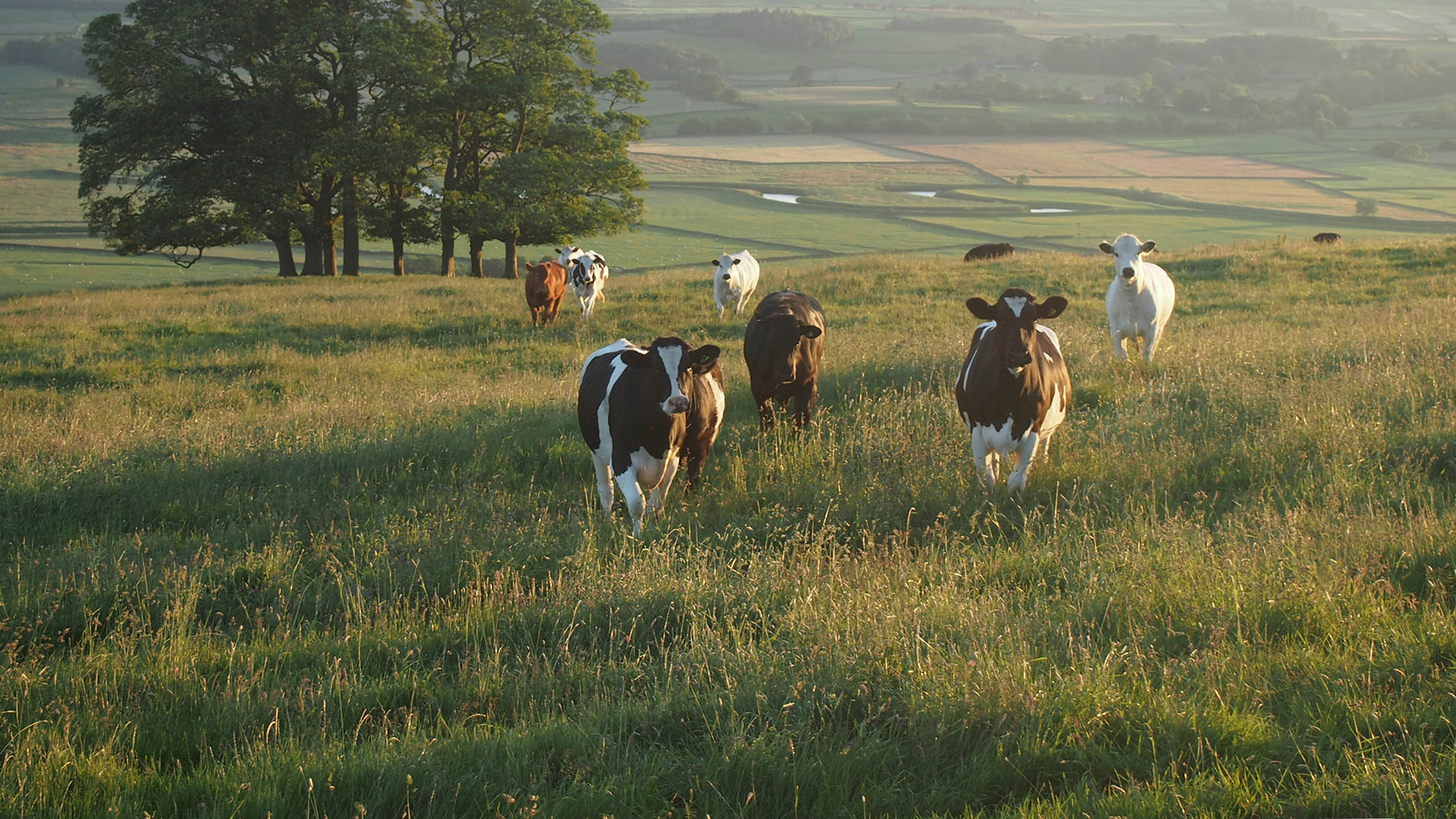 Yorkshire Dales National Park