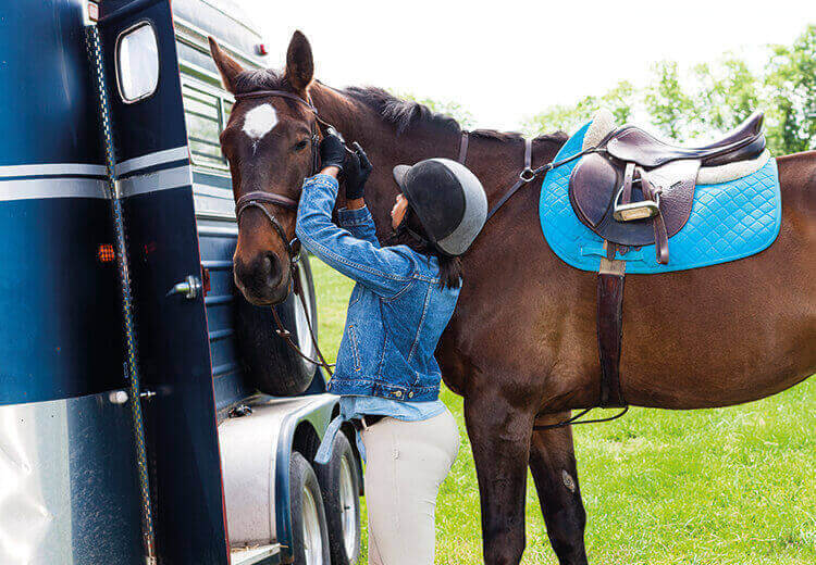 Horsebox Insurance Compare Quotes at