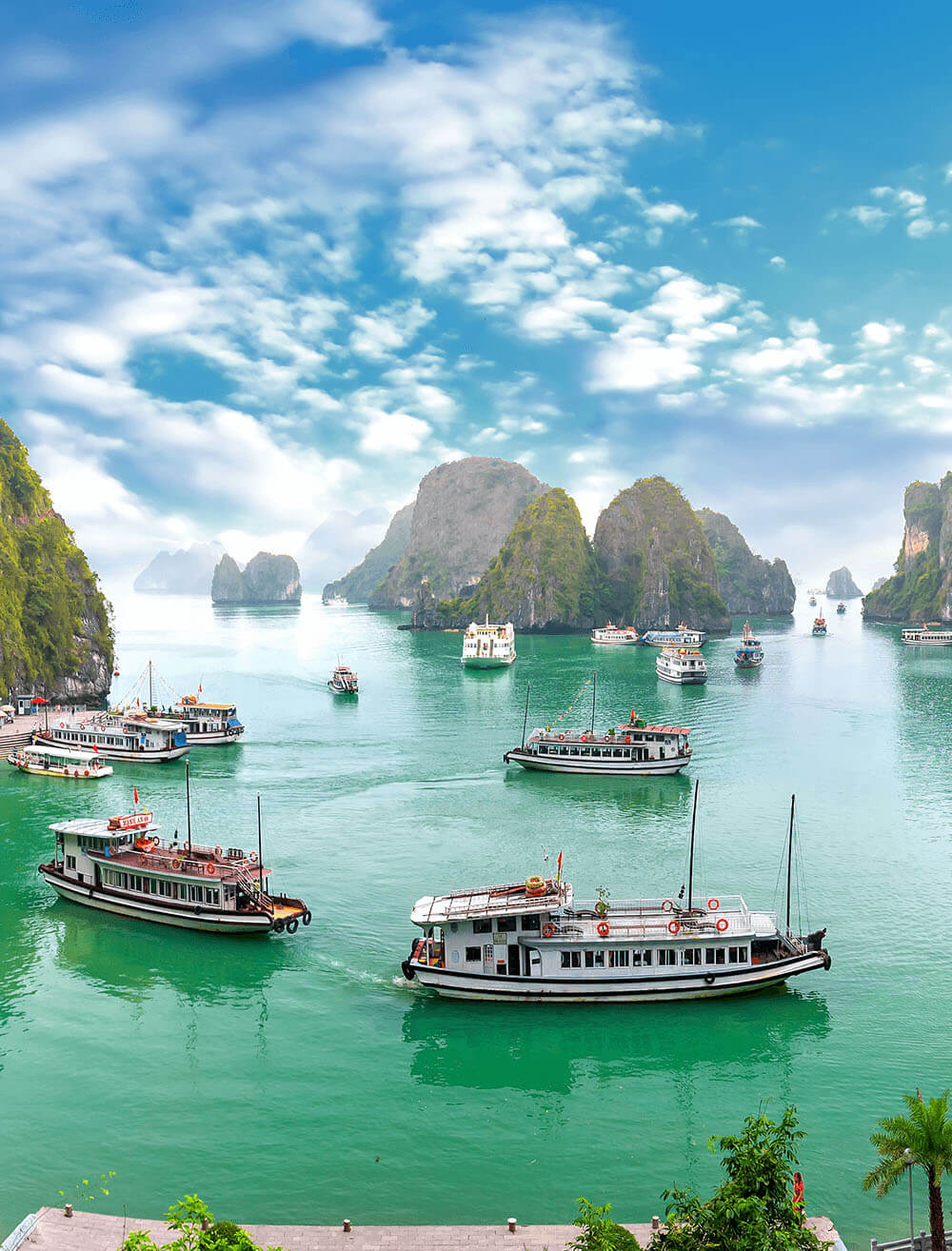 Travel Insurance for Vietnam Compare Quotes at
